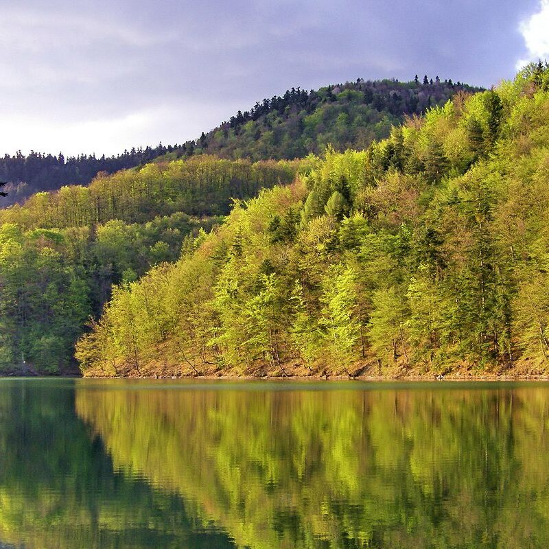 Hodrušské jazero