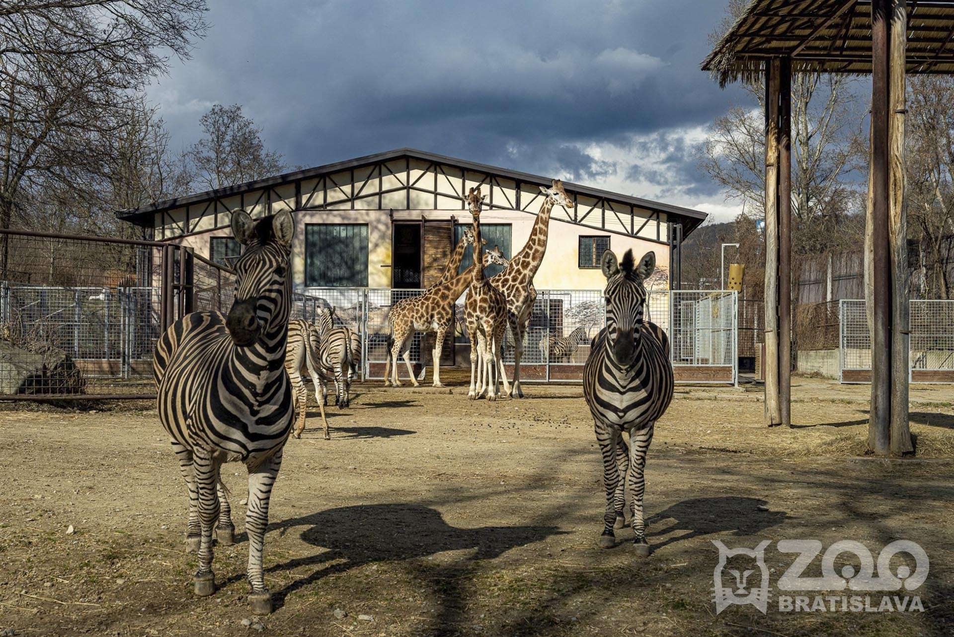 ZOO Bratislava