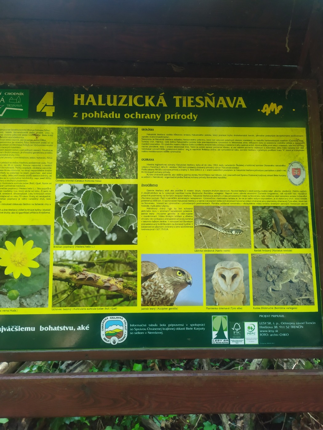 Náučná tabuľa o ochrane prírody v Haluzickej tiesňave